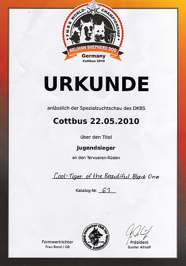 cool_tigerurkunde